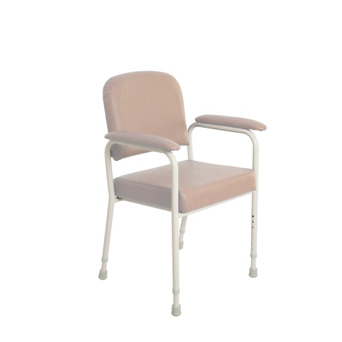CHAIR LOWBACK CLASSIC UTILITY/DINING CHAMPAGNE