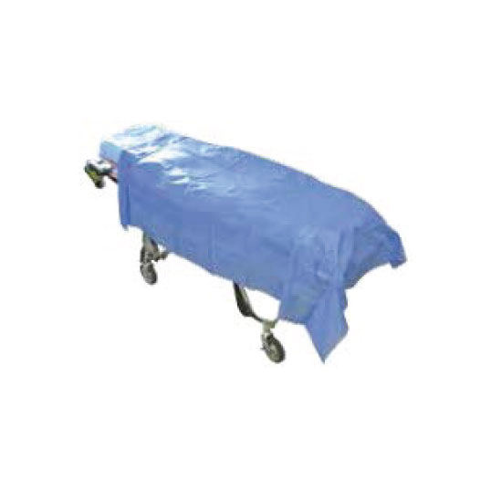 SHEET FLAT BED DISP LGE 200 X 120CM (100)        