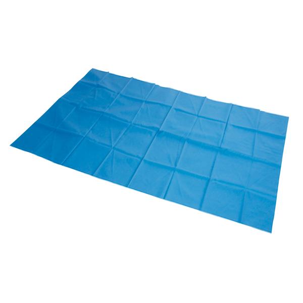 SLIDE SHEET 2M X 1.45M SLIPPERYSALLY HEATSEALED